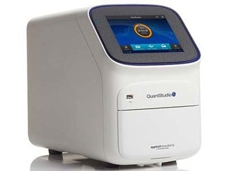 PCR