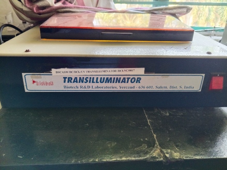 Transilluminator