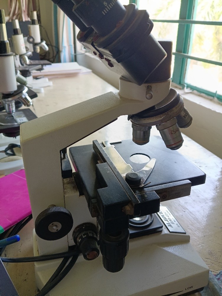 Binocular Microscope