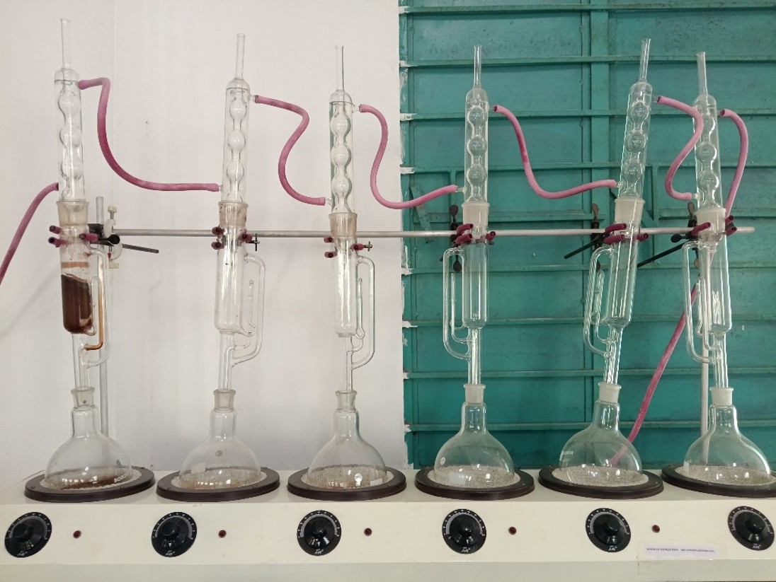Soxhlet Extraction Apparatus